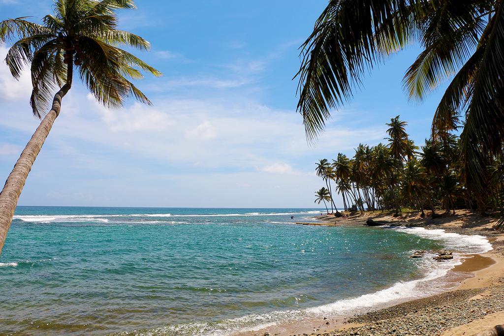 Caribe Playa Beach Hotel Patillas Exterior photo